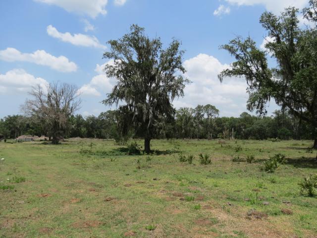 Summer Creek ~ 20 Acres