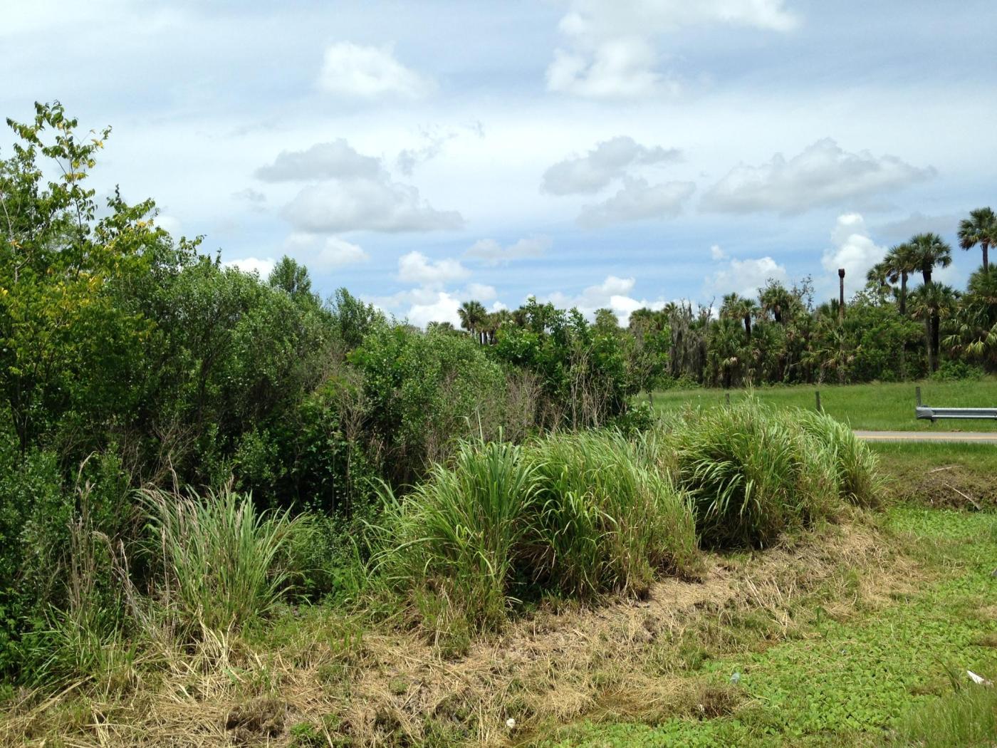 Near East Lake Mary Blvd.