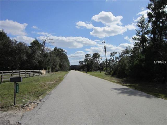 Horses & Ranch Community Vacant Land