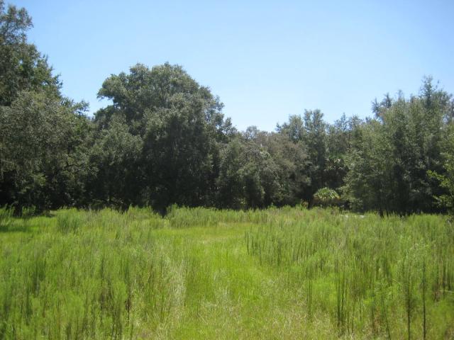 Development Opportunity