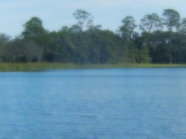 Silver Lake Development Site - Sanford