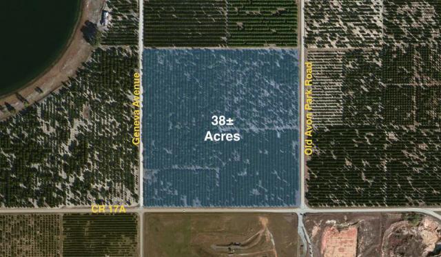 38+- ac Citrus Grove in Avon Park