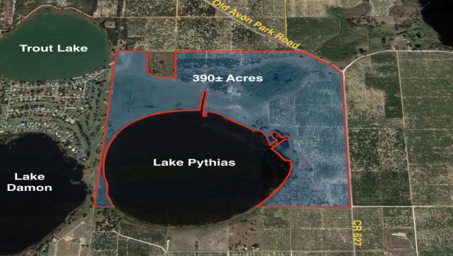 390+- ac Citrus Grove & Pasture Land Avon Pk