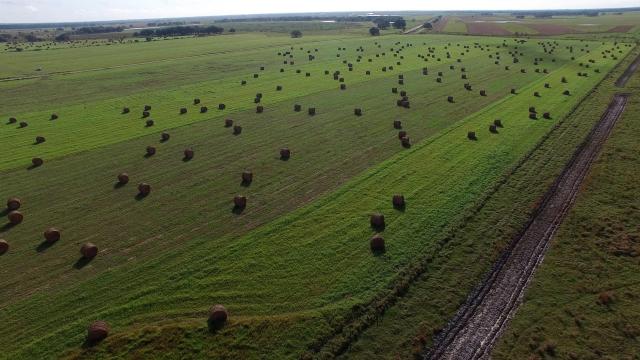 1495 Acres Improved Pasture in Desoto County
