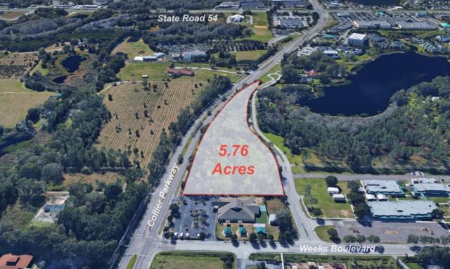 5.76+- ac on Collier Parkway Land O'Lakes