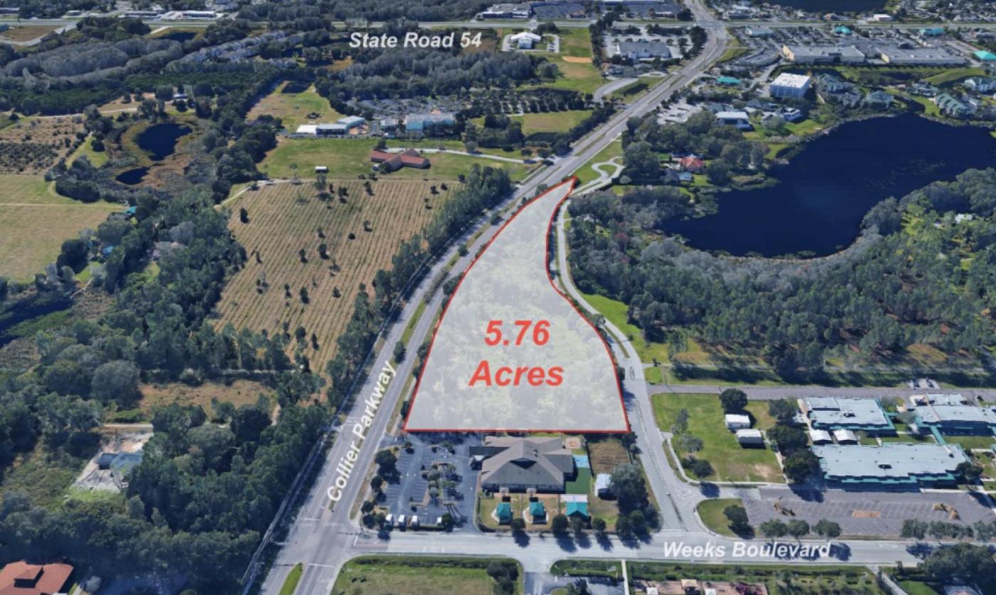 5.76+- ac on Collier Parkway Land O'Lakes