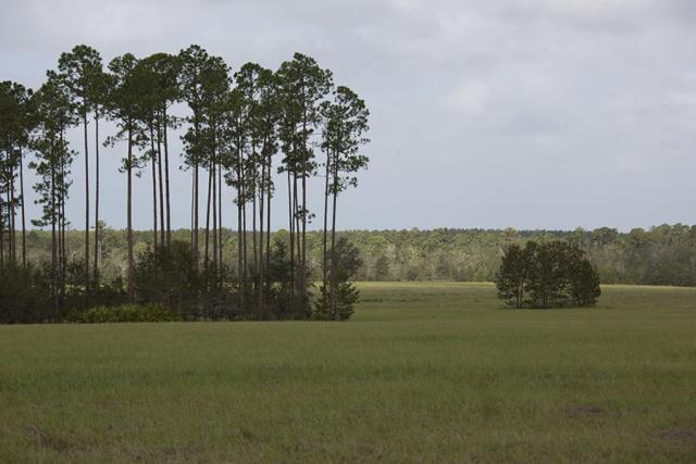 3 Creeks Crossing