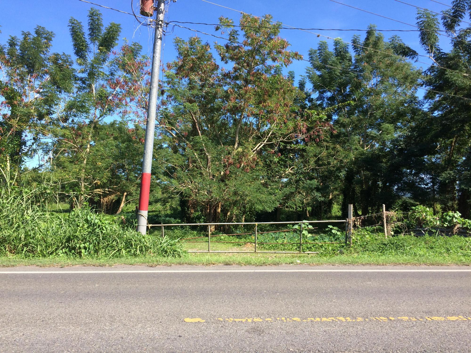 Añasco Abajo Vacant Land 63.60 "cuerdas"