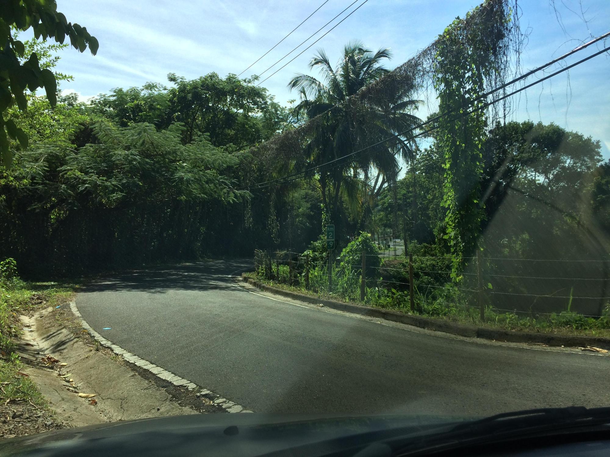 Añasco Vacant Land- 178 "cuerdas" FOR SALE