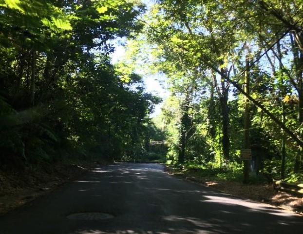 Añasco Vacant Land- "86 cuerdas" FOR SALE