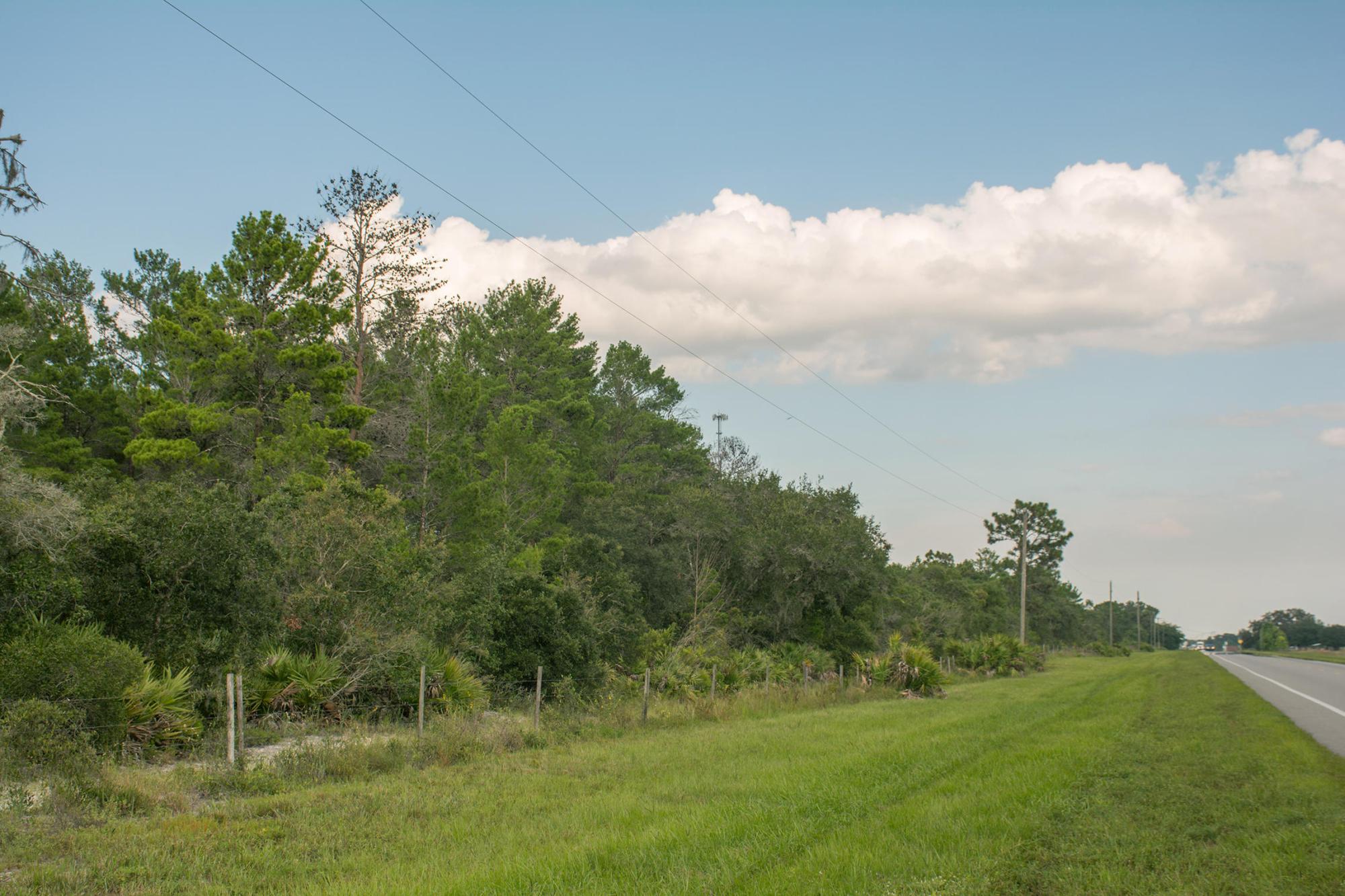 Green Meadow 445 Acres