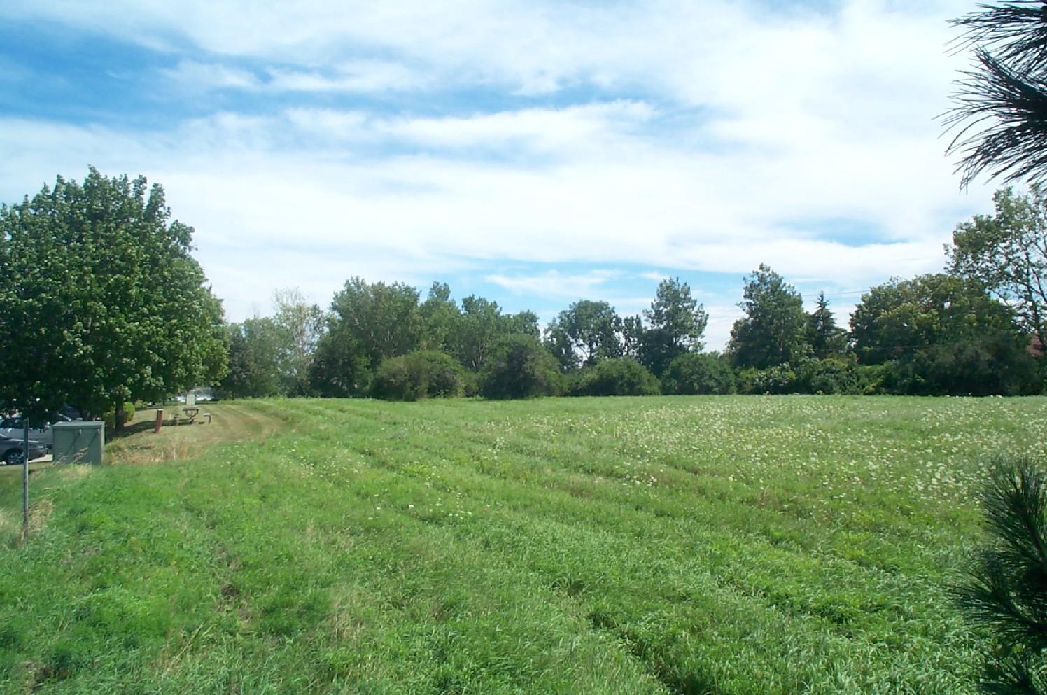 Established Mixed Use Area