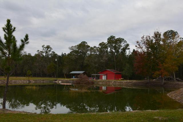Alachua County Farm
