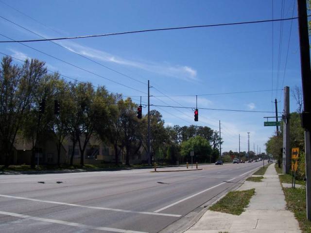 Bloomingdale Avenue 2.3 Acres