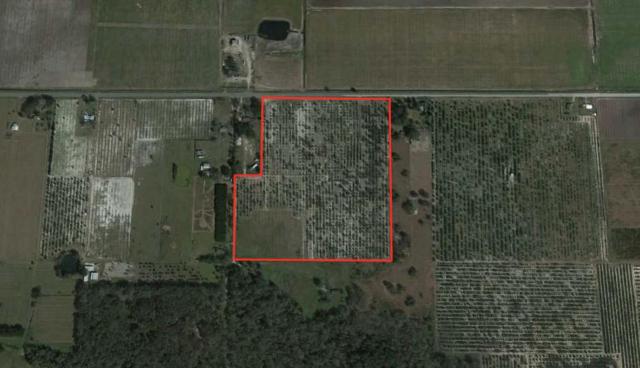 32.5+- Citrus Grove in Lithia