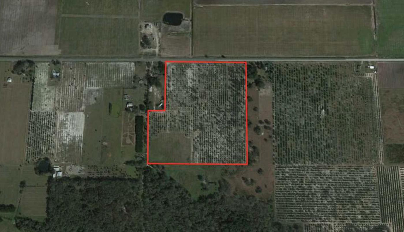 32.5+- Citrus Grove in Lithia