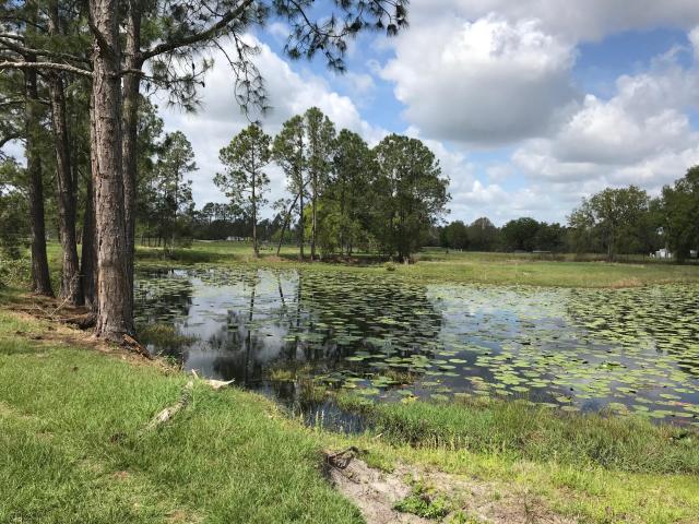Acreage South of Webster