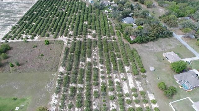 13 Acres - Rankin Rd/Country Club Rd Winter H