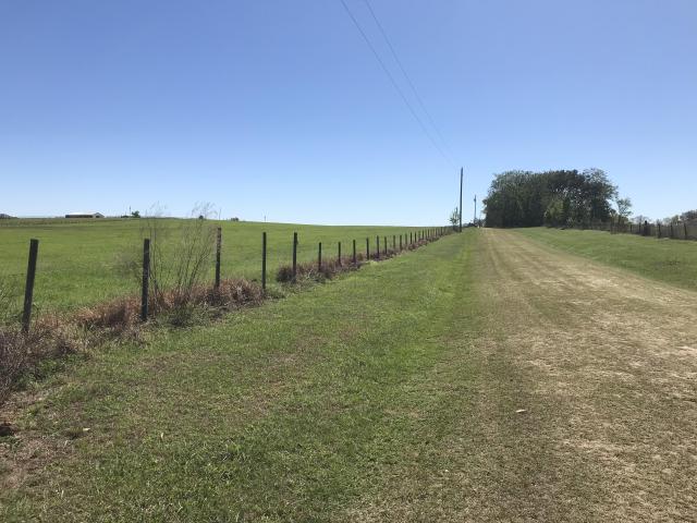 20 acres just off I-75