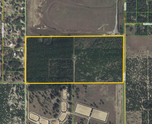 84.6± Acres near Hamlin West