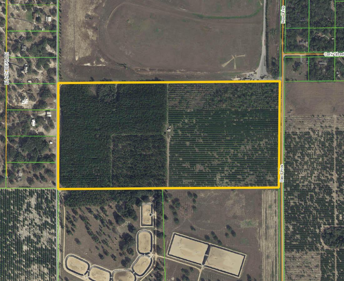 84.6± Acres near Hamlin West