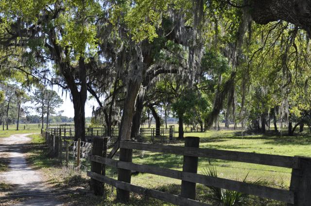 Knights Farm & Ranch in Plant City, Florida