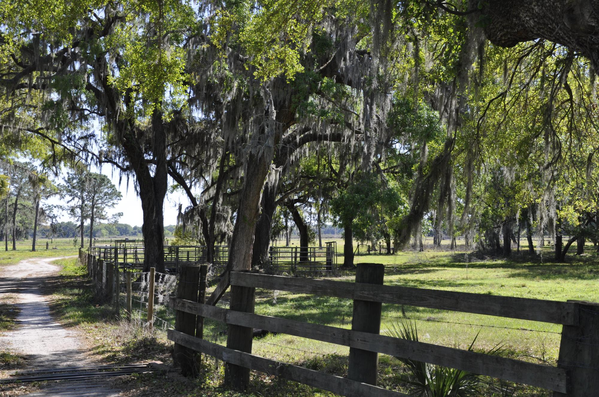 Knights Farm & Ranch in Plant City, Florida