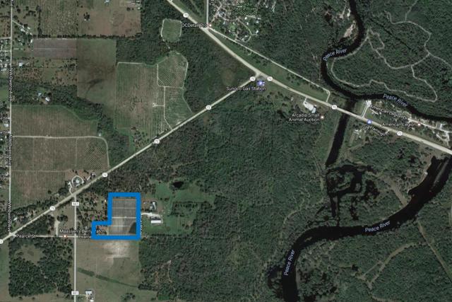Turn-Key Blueberry Farm in Arcadia,Fl