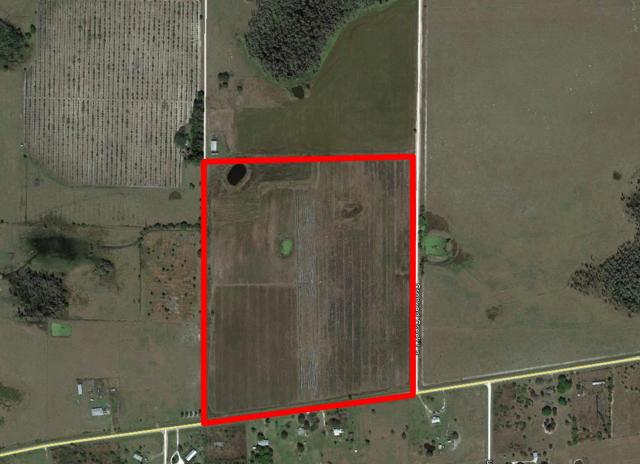 Farm land for sale in Hardee County, Fl