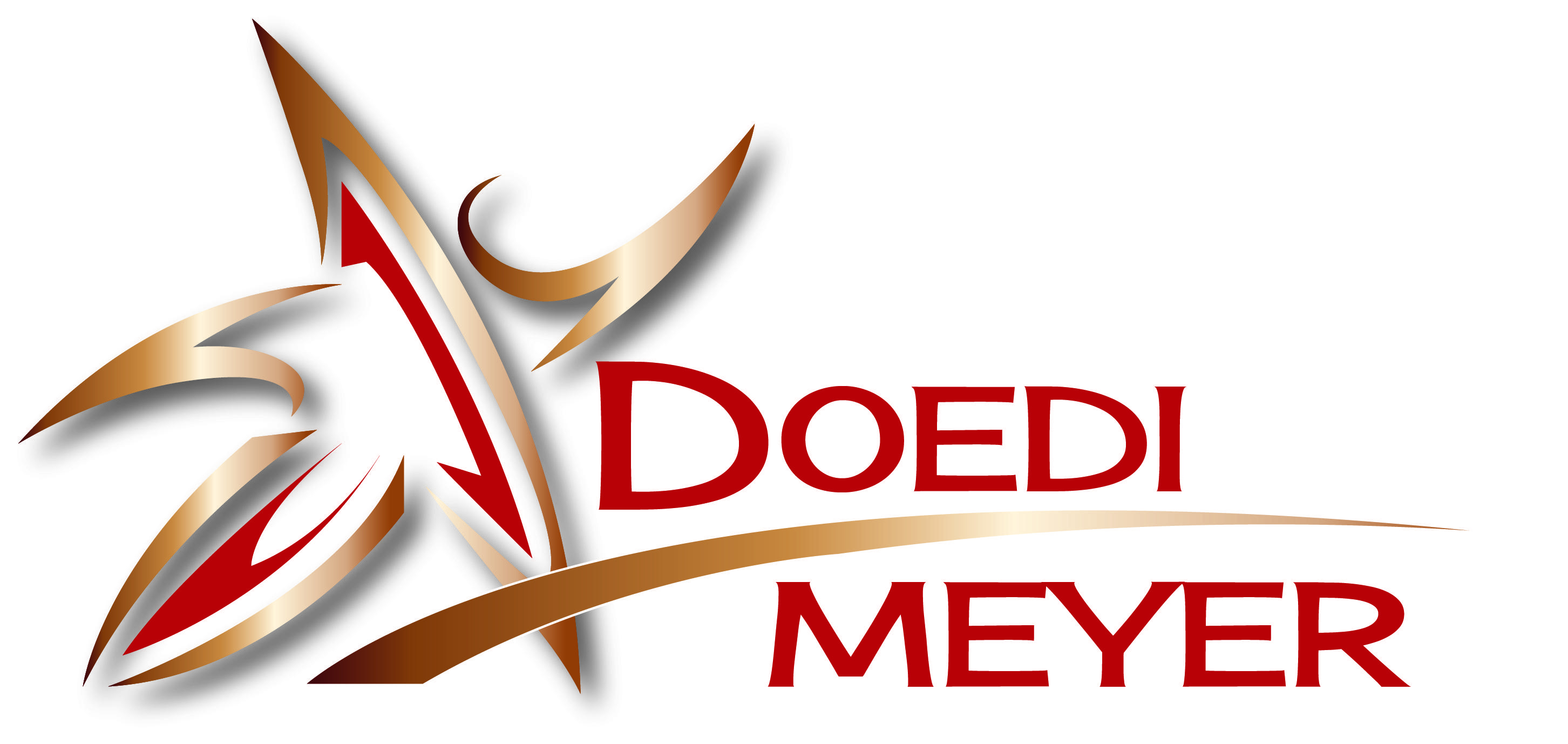 Doedi Meyer logo