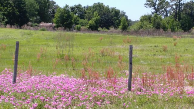 15 acres on CR 223