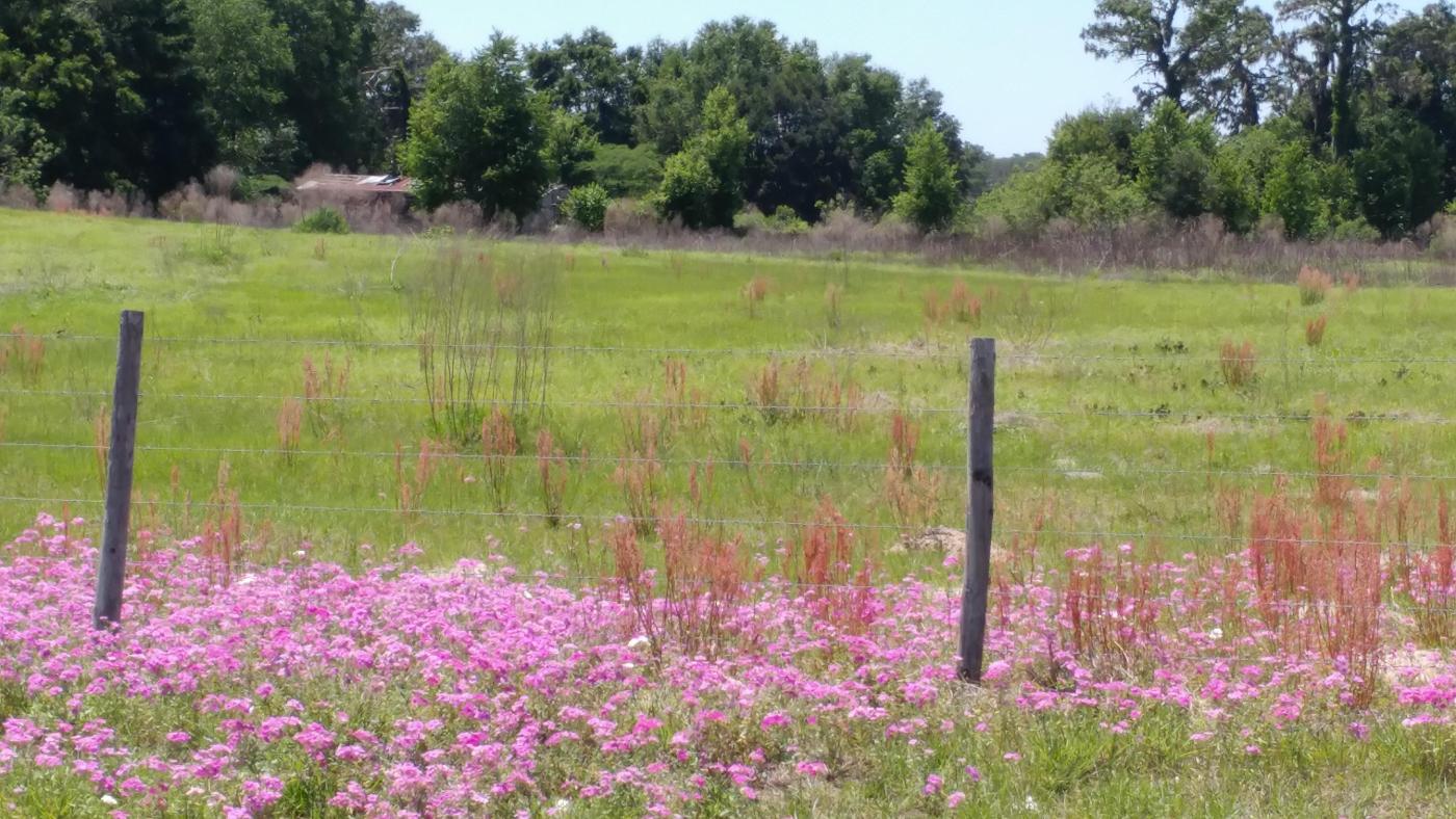 15 acres on CR 223