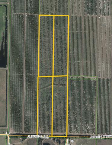 Highlands County Citrus Grove