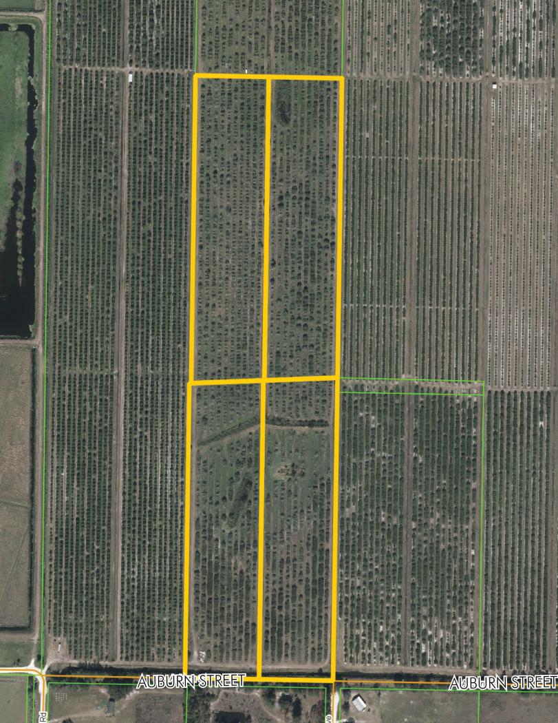 Highlands County Citrus Grove