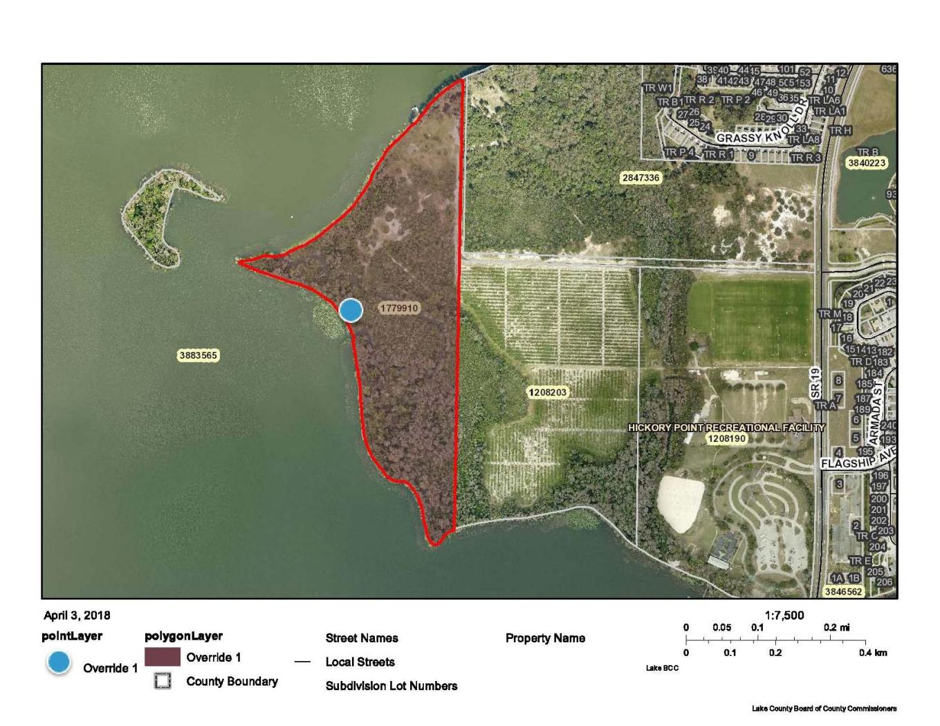 60 Acres on Lk Harris w/ 5,000'+/- on water