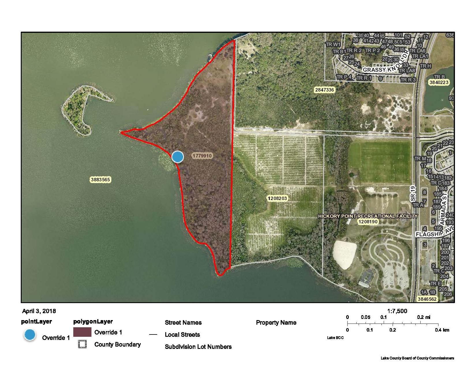 60 Acres on Lk Harris w/ 5,000'+/- on water