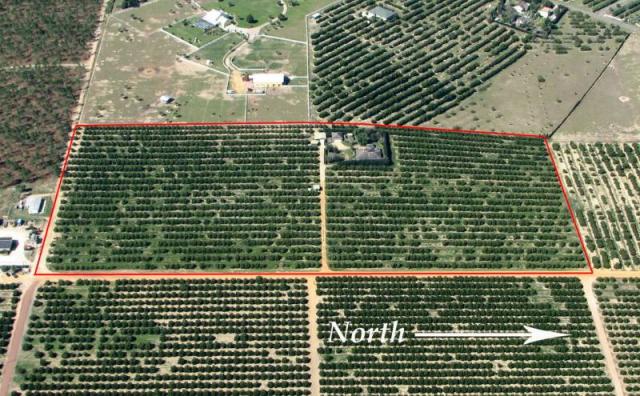 20 Acre Valencia Grove with Custom Home