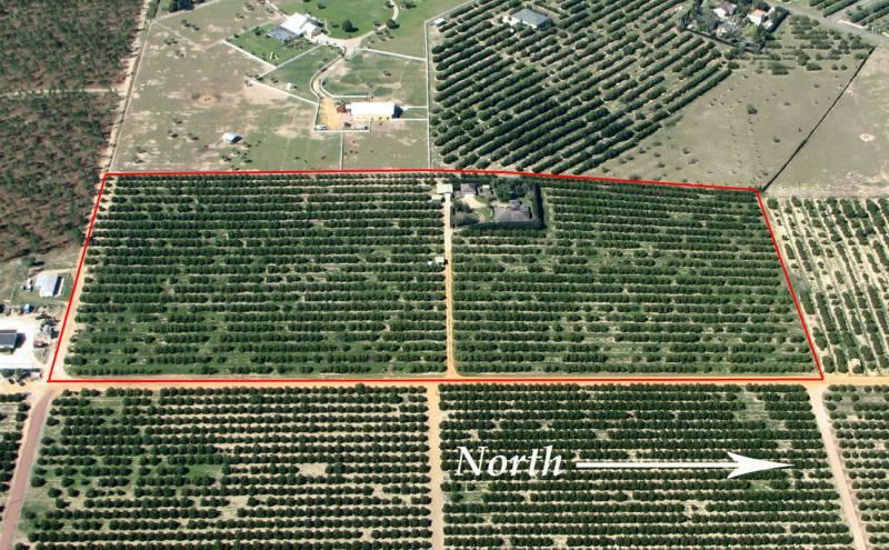 20 Acre Valencia Grove with Custom Home