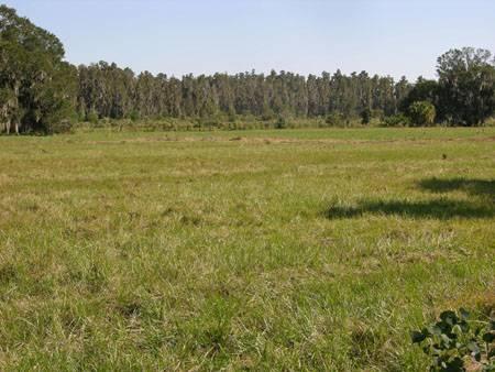 Airport Road Industrial Property