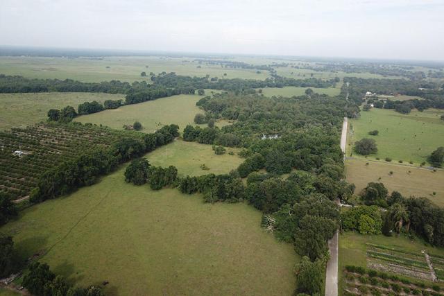 Arcadia 54 Acres