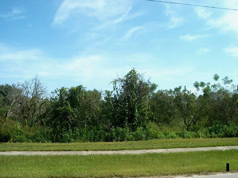 E. Franklin Street