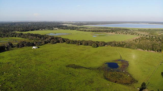 Alafia Ranch in Lithia, Florida