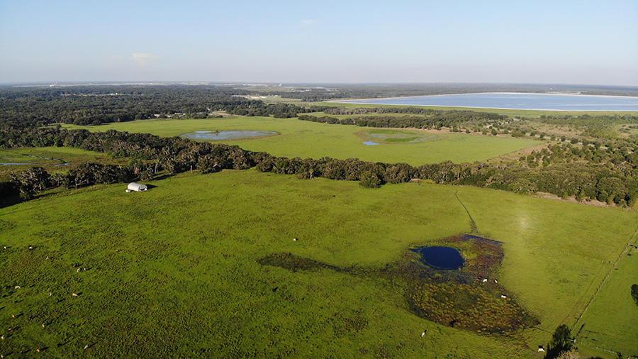 Alafia Ranch in Lithia, Florida