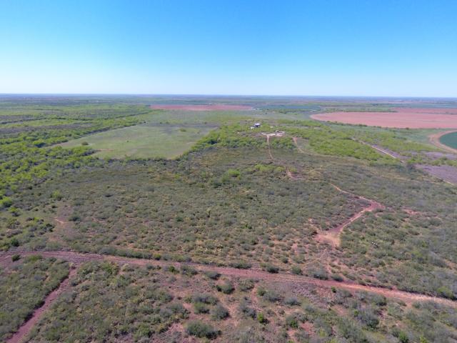 ± 322 Acres in Frio County
