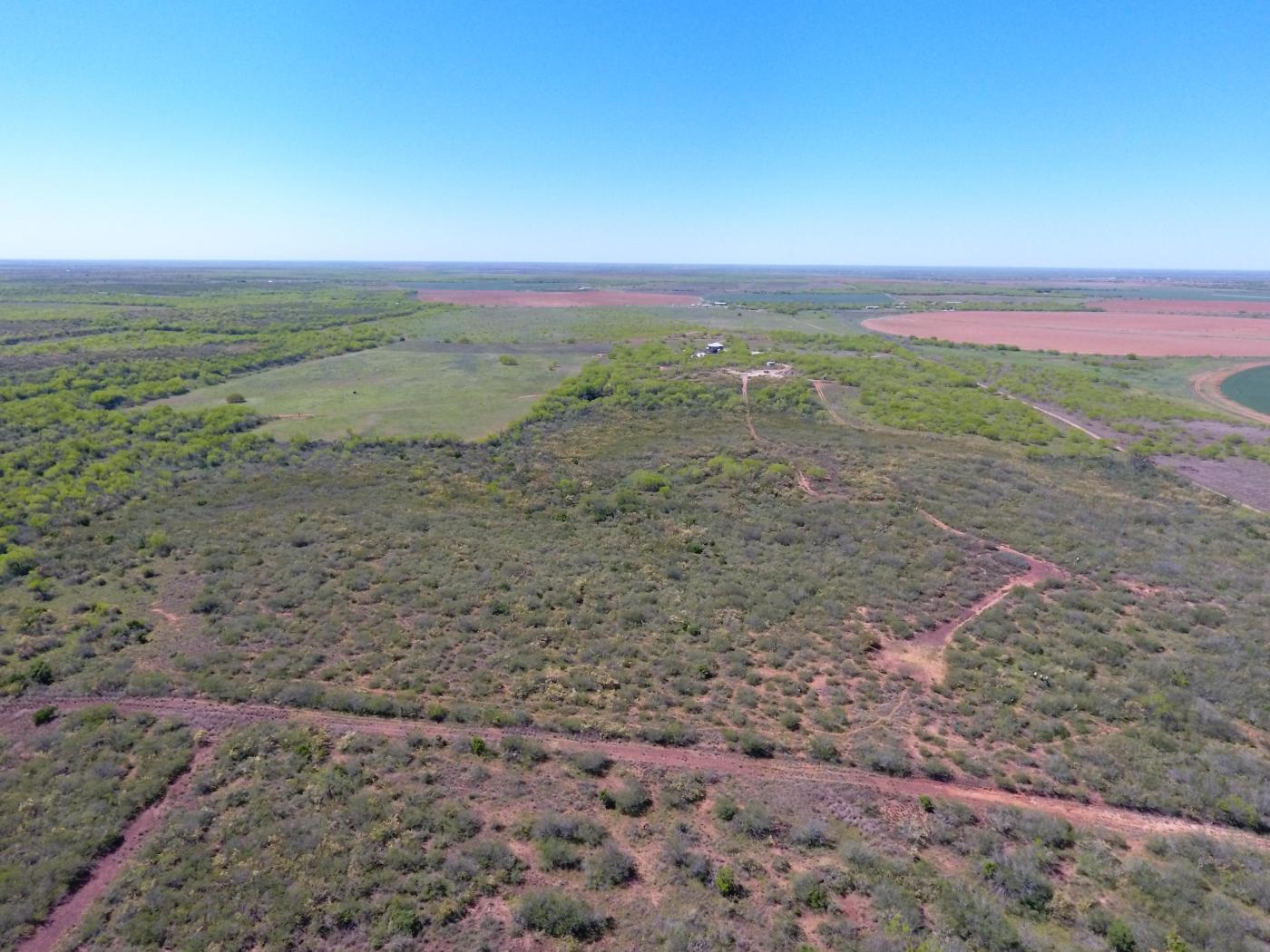 ± 322 Acres in Frio County