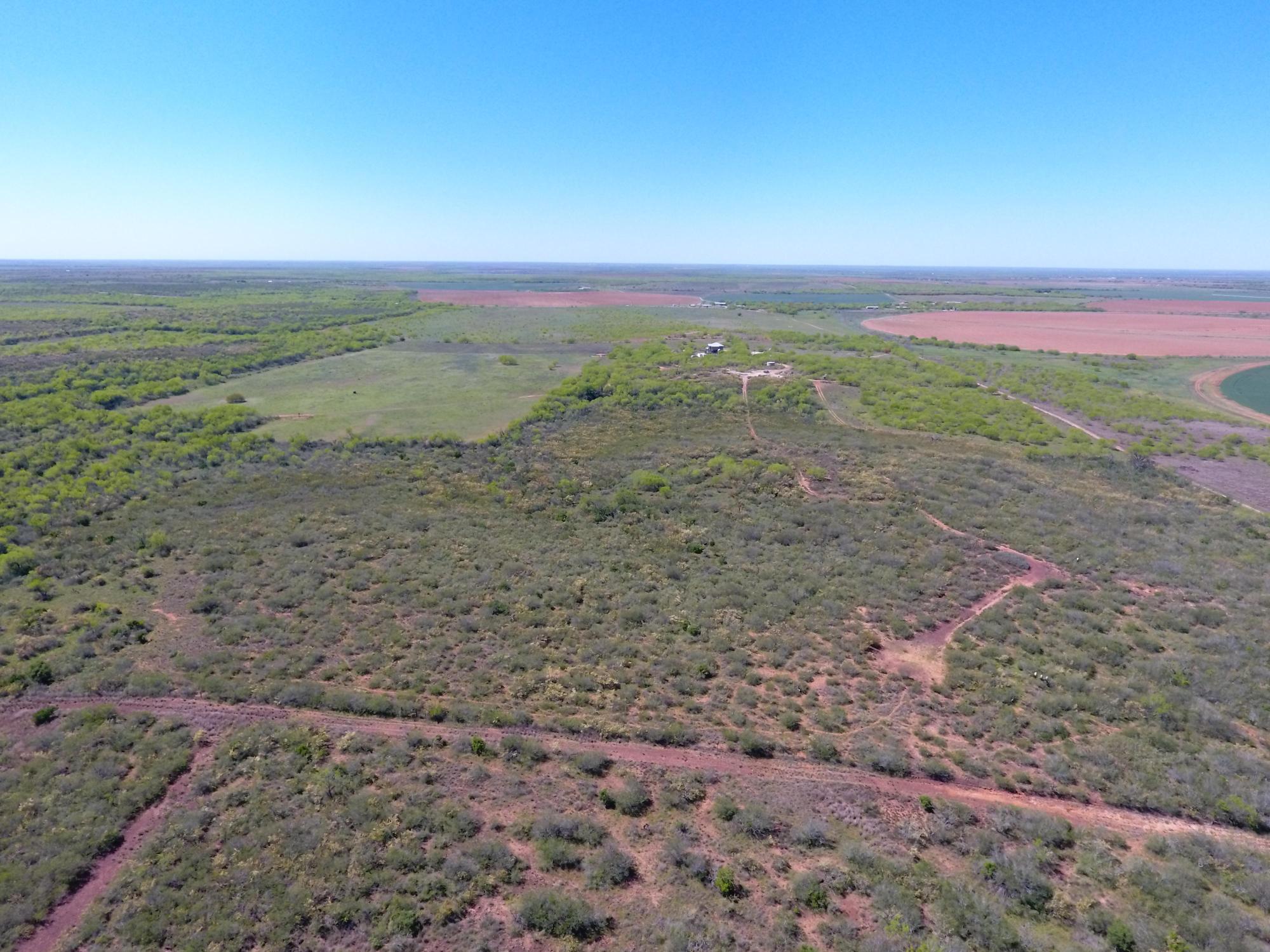 ± 322 Acres in Frio County