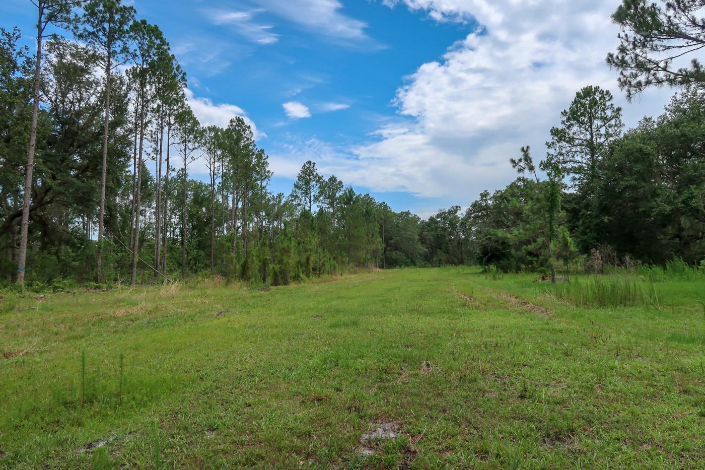 90± Acres Residential Development Land