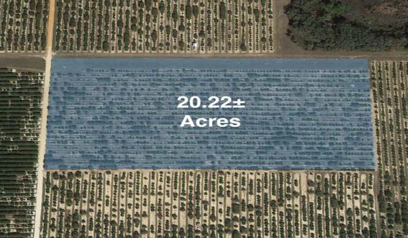 20.22+- ac Valencia Orange Grove in Avon Pk
