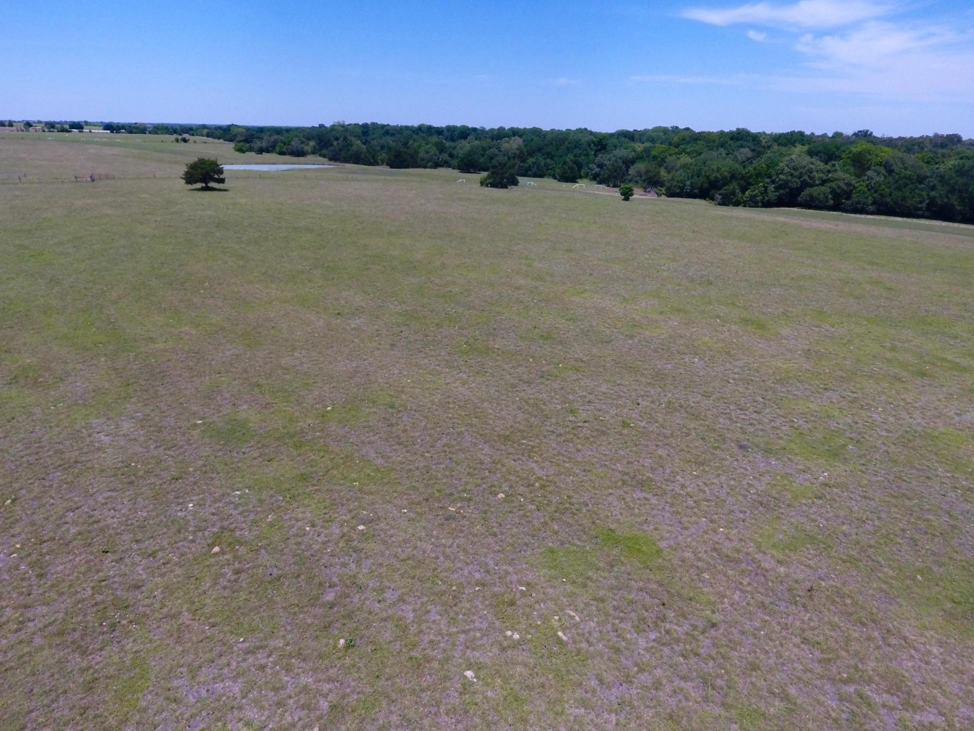 ± 86 Acres | FM 2502 | Brenham, TX