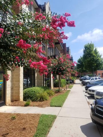 Davidson NC Investment Condo